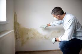 Professional Mold Removal & Remediation in Greene, RI